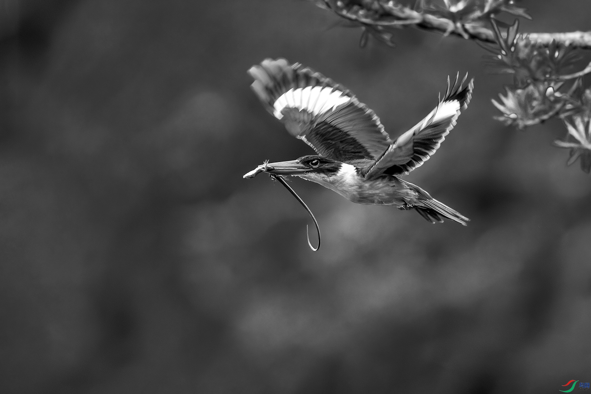 0D1A0533-8.jpg