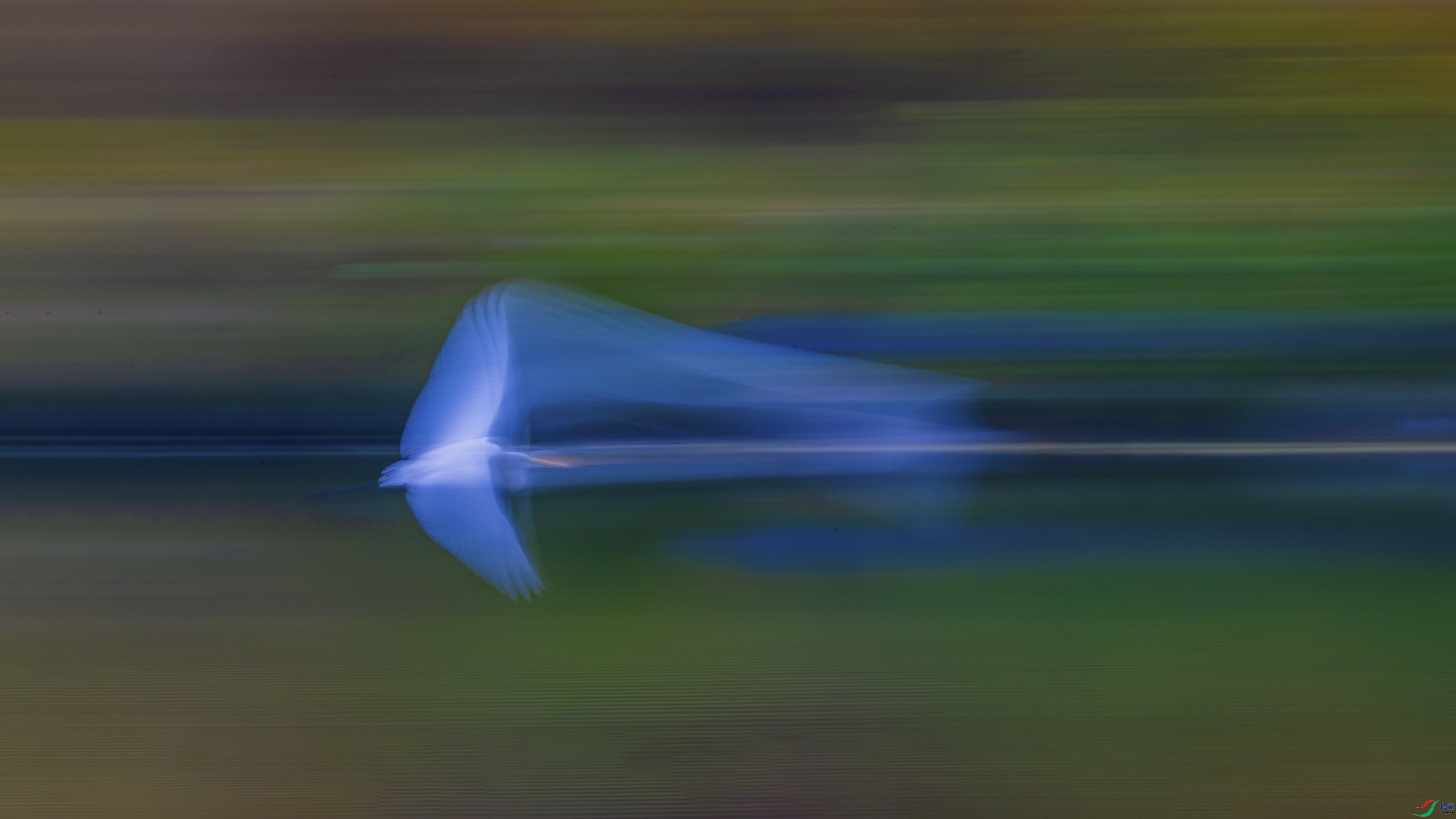 DSC_7214.jpg