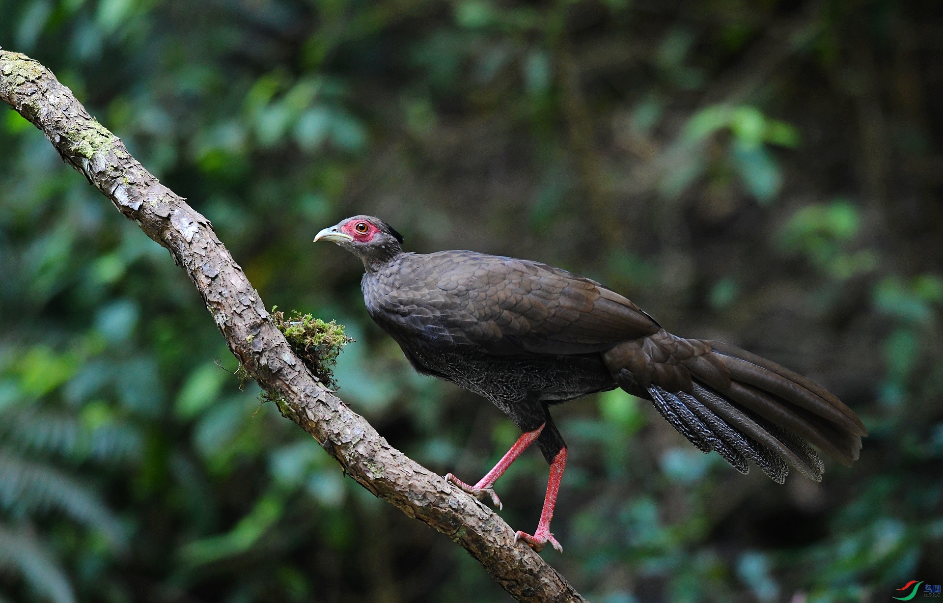 DSC_7079.jpg