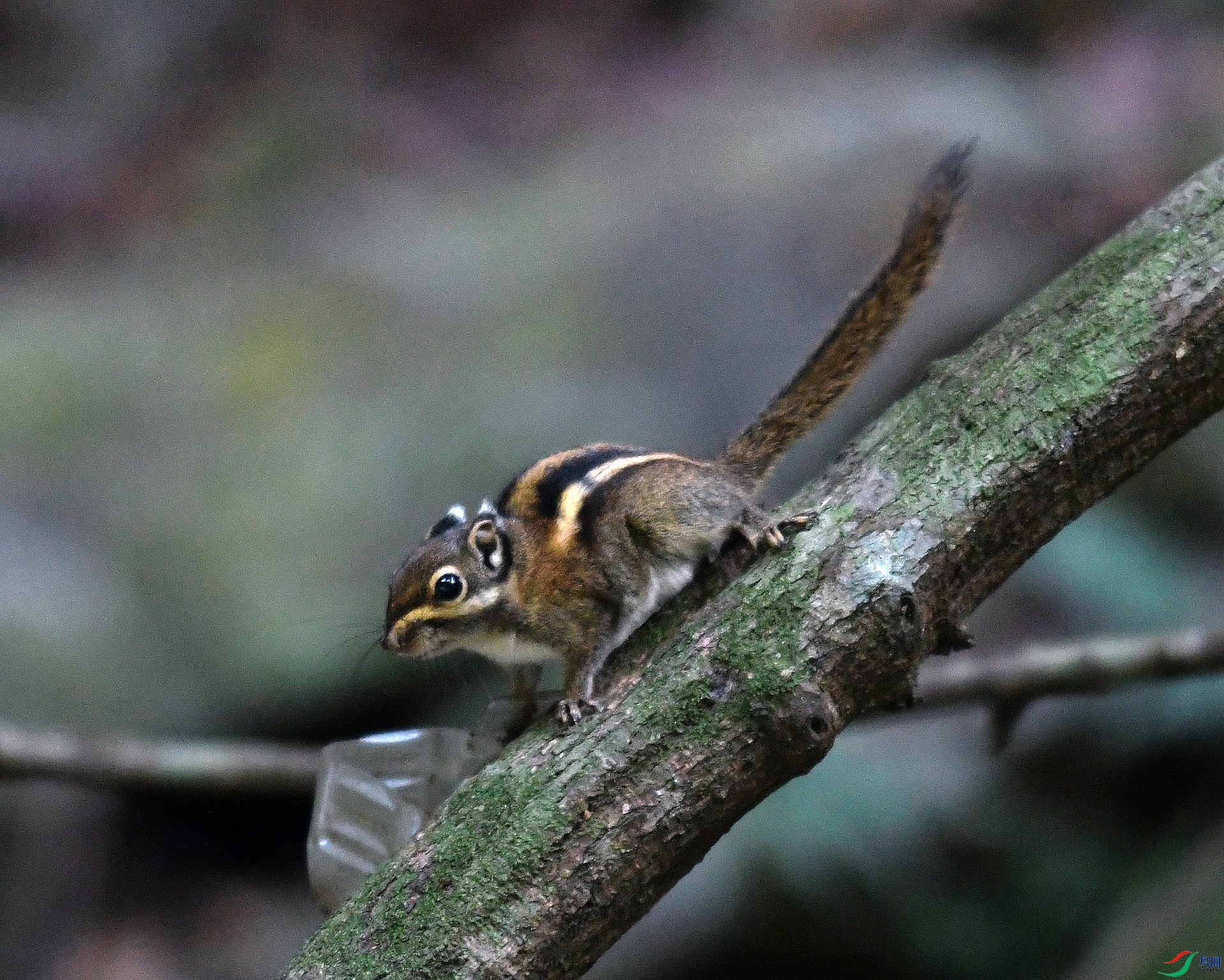 DSC_4330.jpg