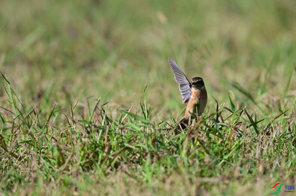 DSC_4174.jpg