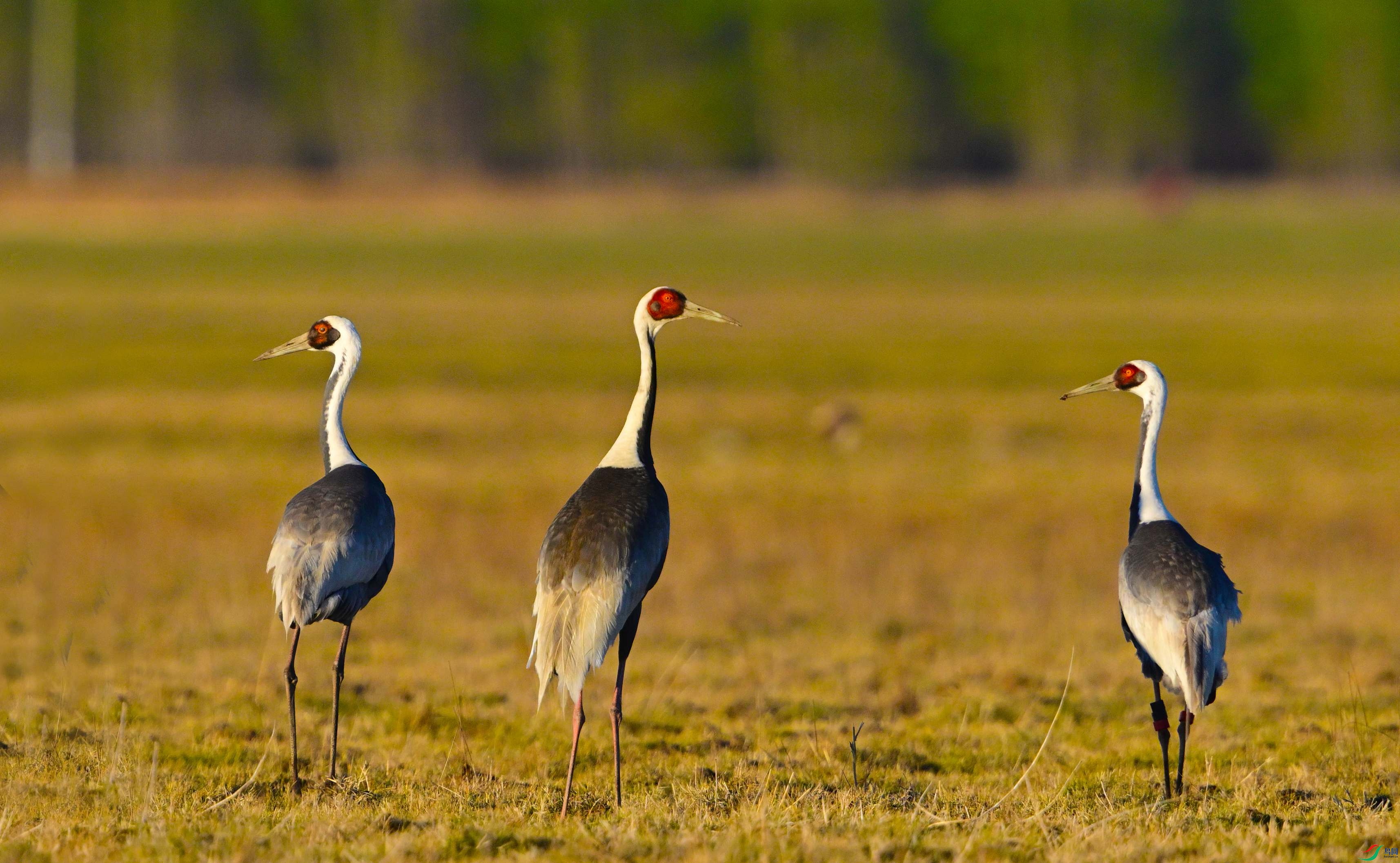 DSC_3685.JPG