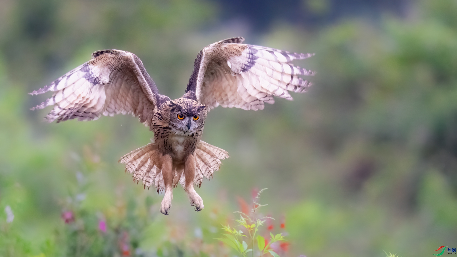 DSC_0141sen2026-7-3-36-�༭.jpg