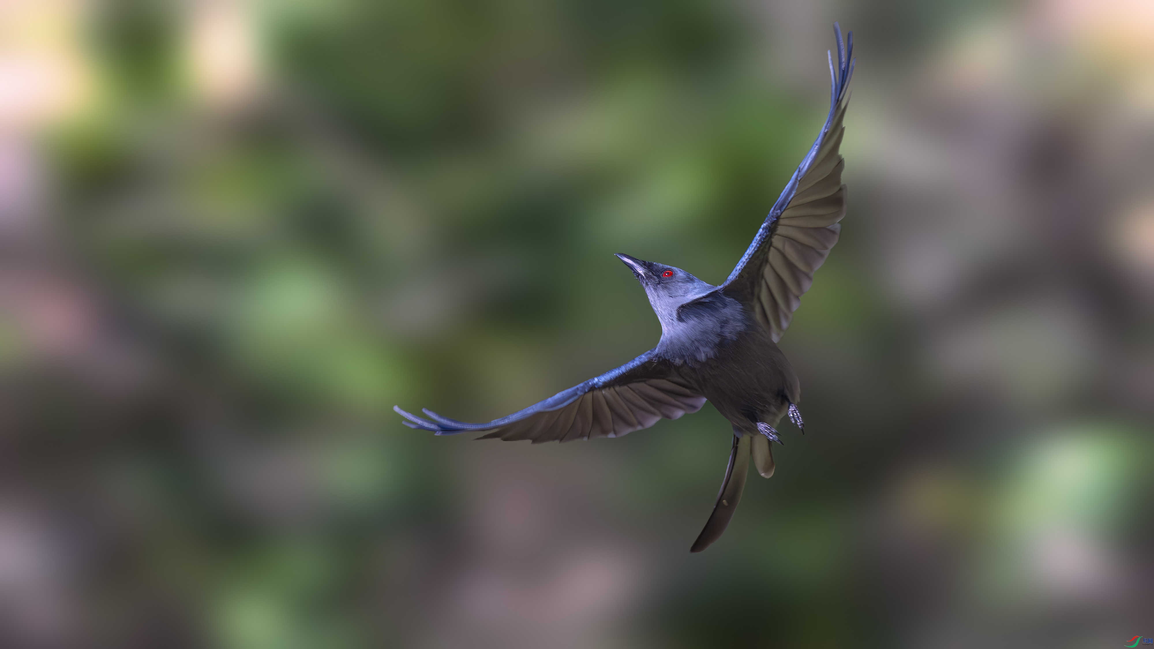 DSC_9987.jpg