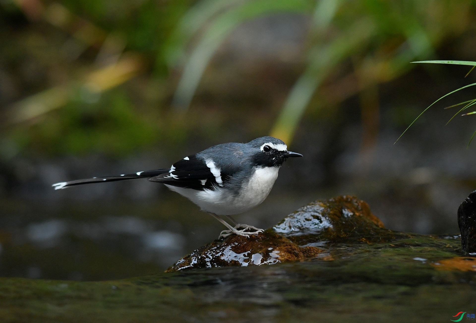 DSC_5005.jpg