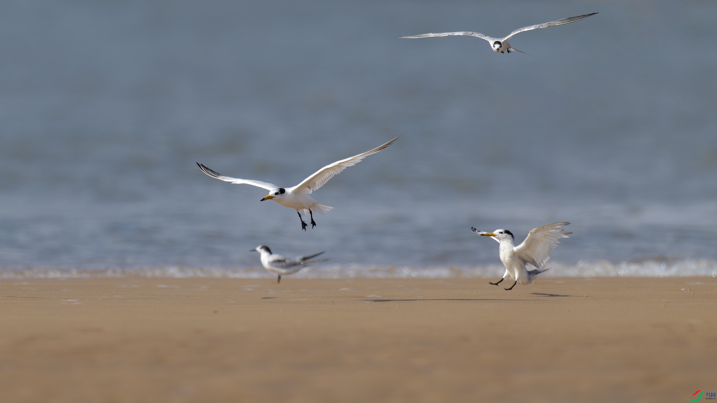 DSC_5879_DxO.jpg