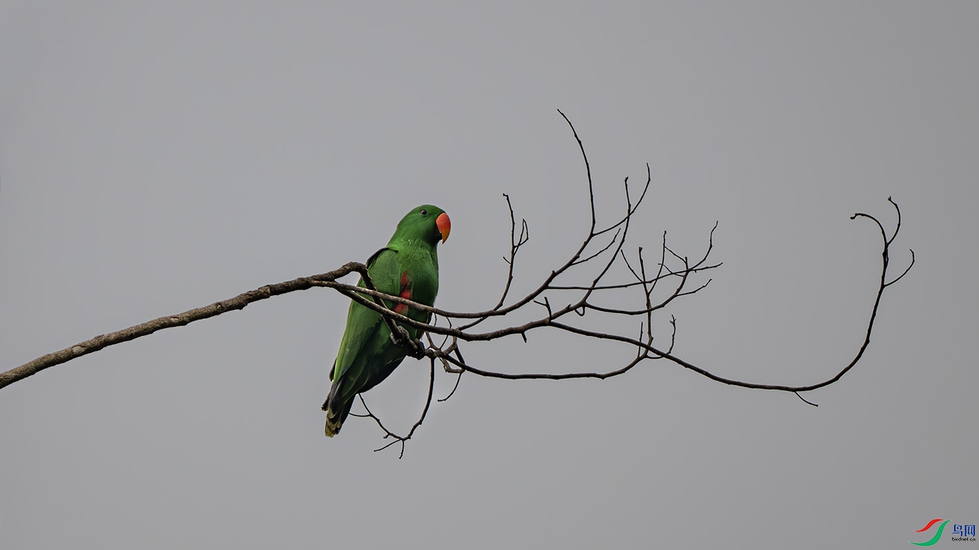 DSC_3890-����ǿ-NR-1 ����.jpg