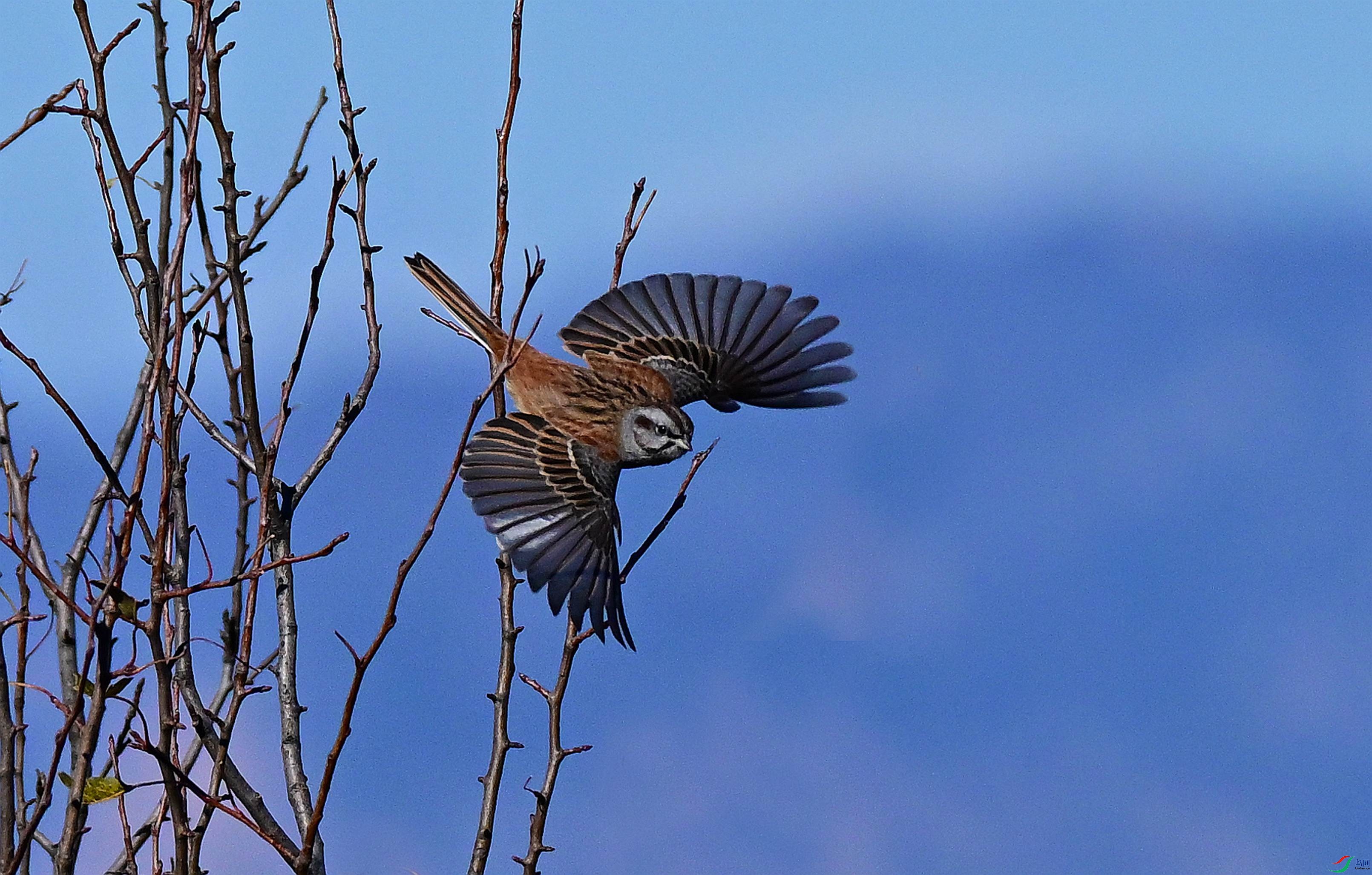 DSC_6467.JPG