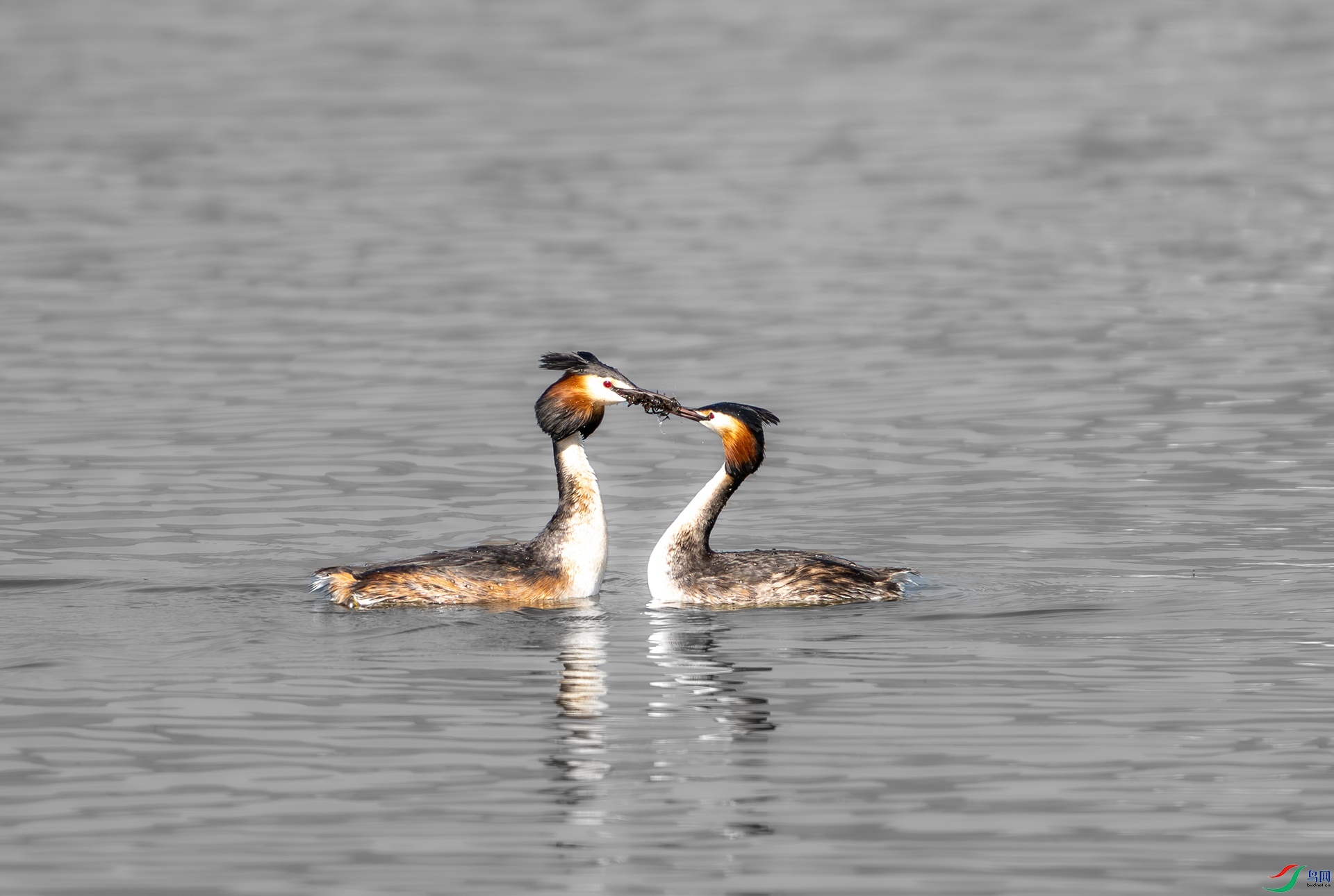 DSC_0722.jpg