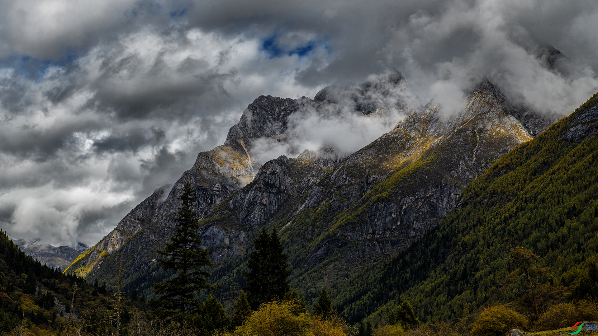DSC_3936-20241020-20261017��.jpg