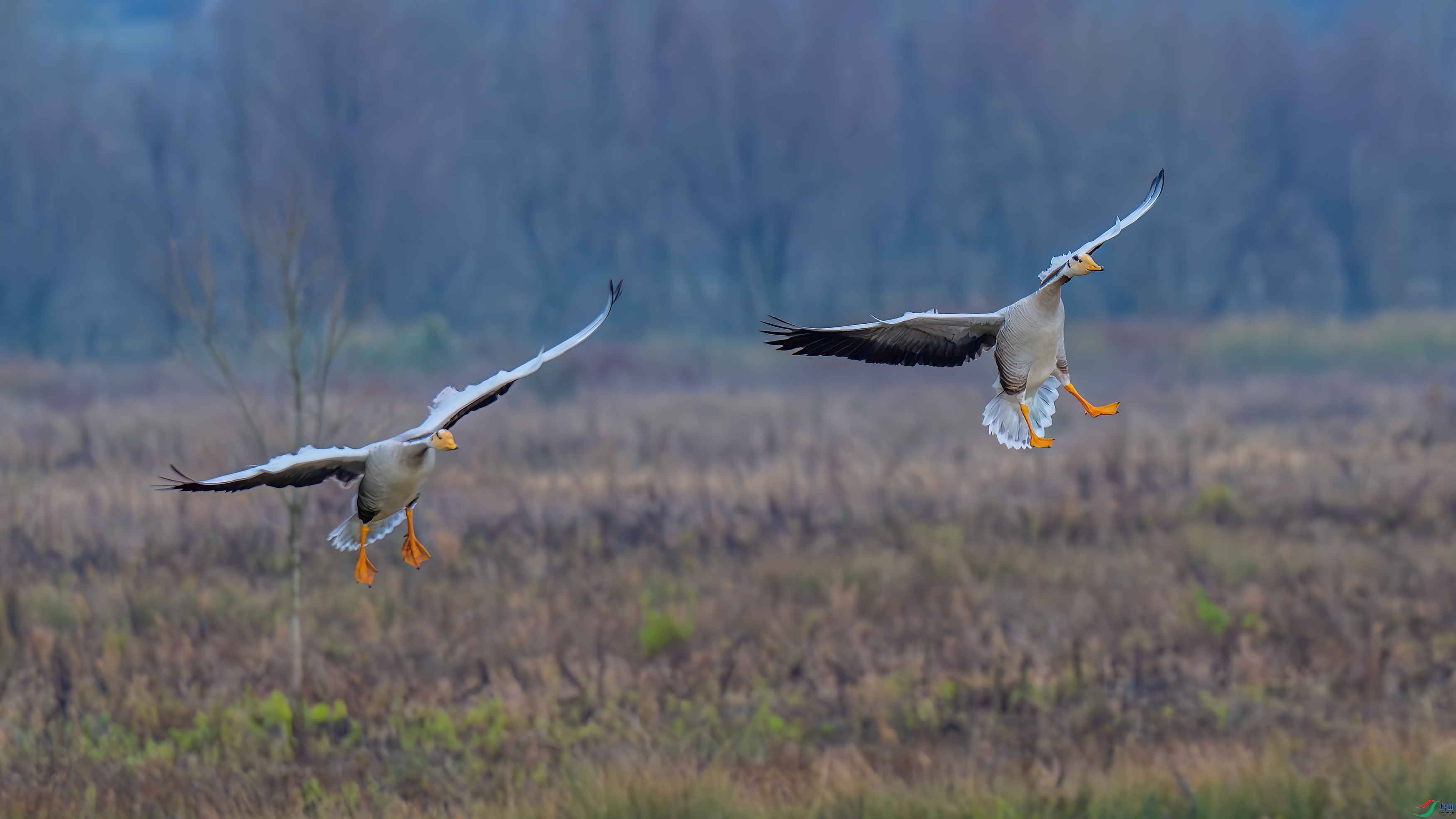 DSC_3405.jpg