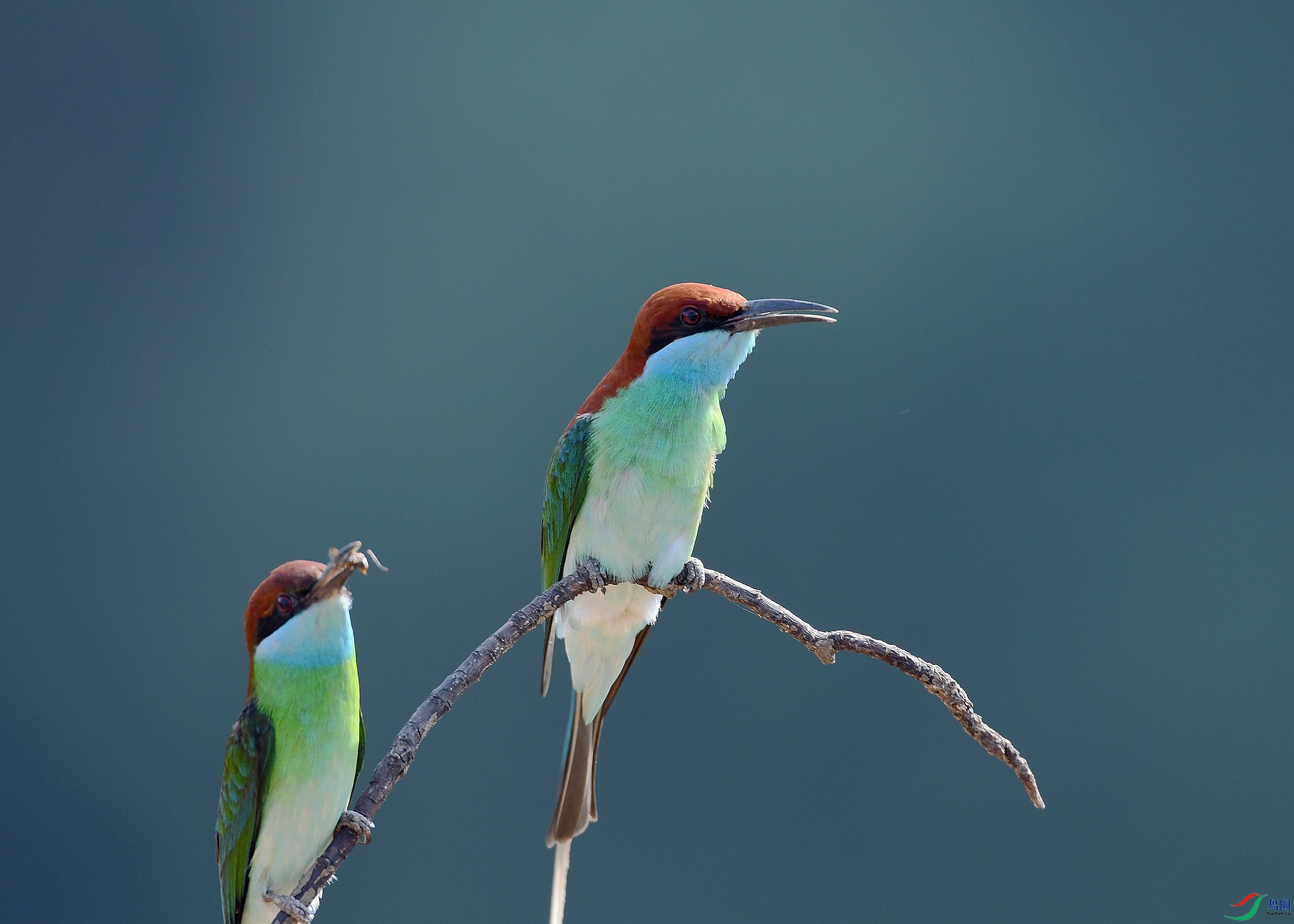 DSC_4634.jpg