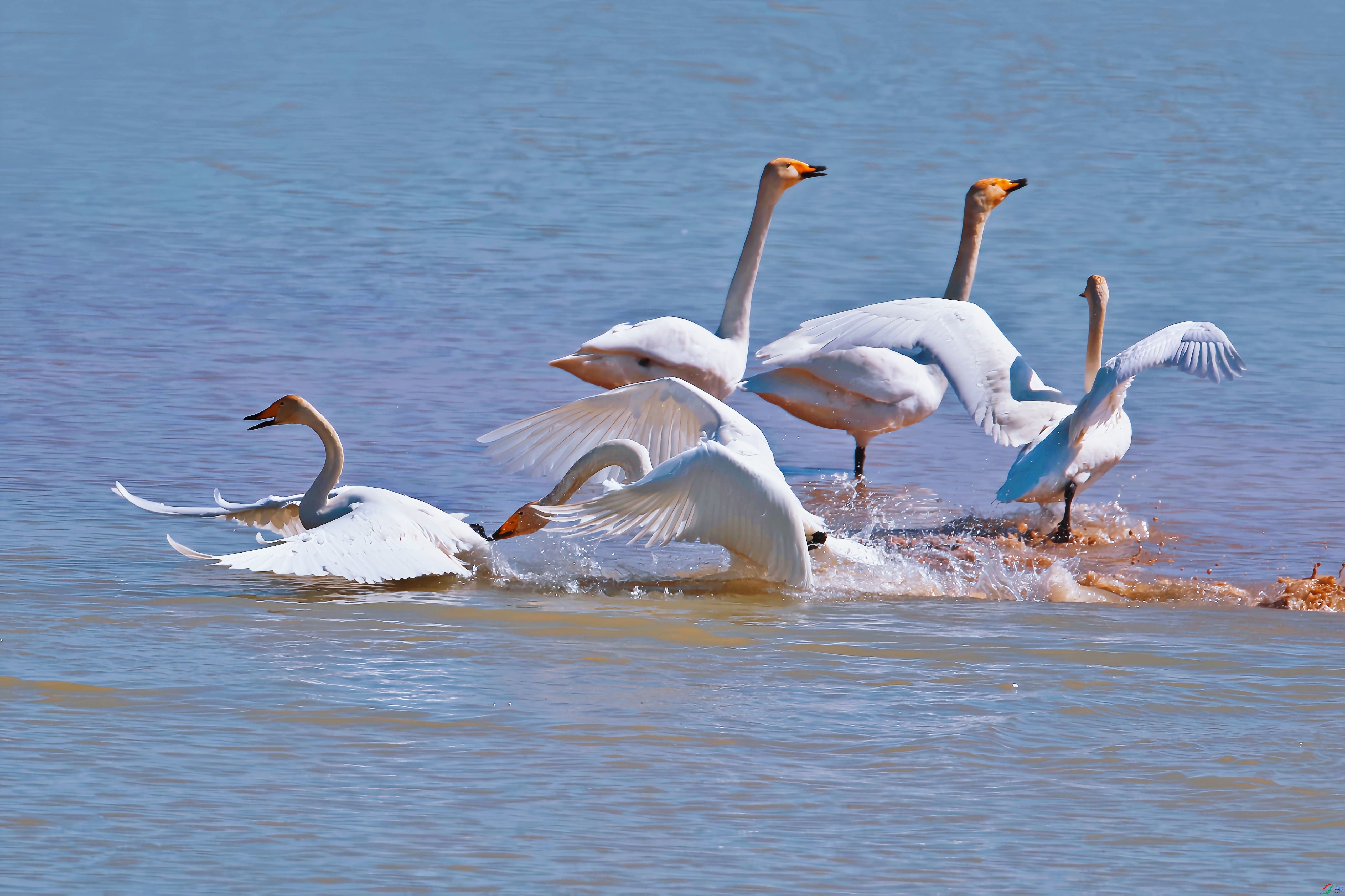 AS8I5412_����.jpg