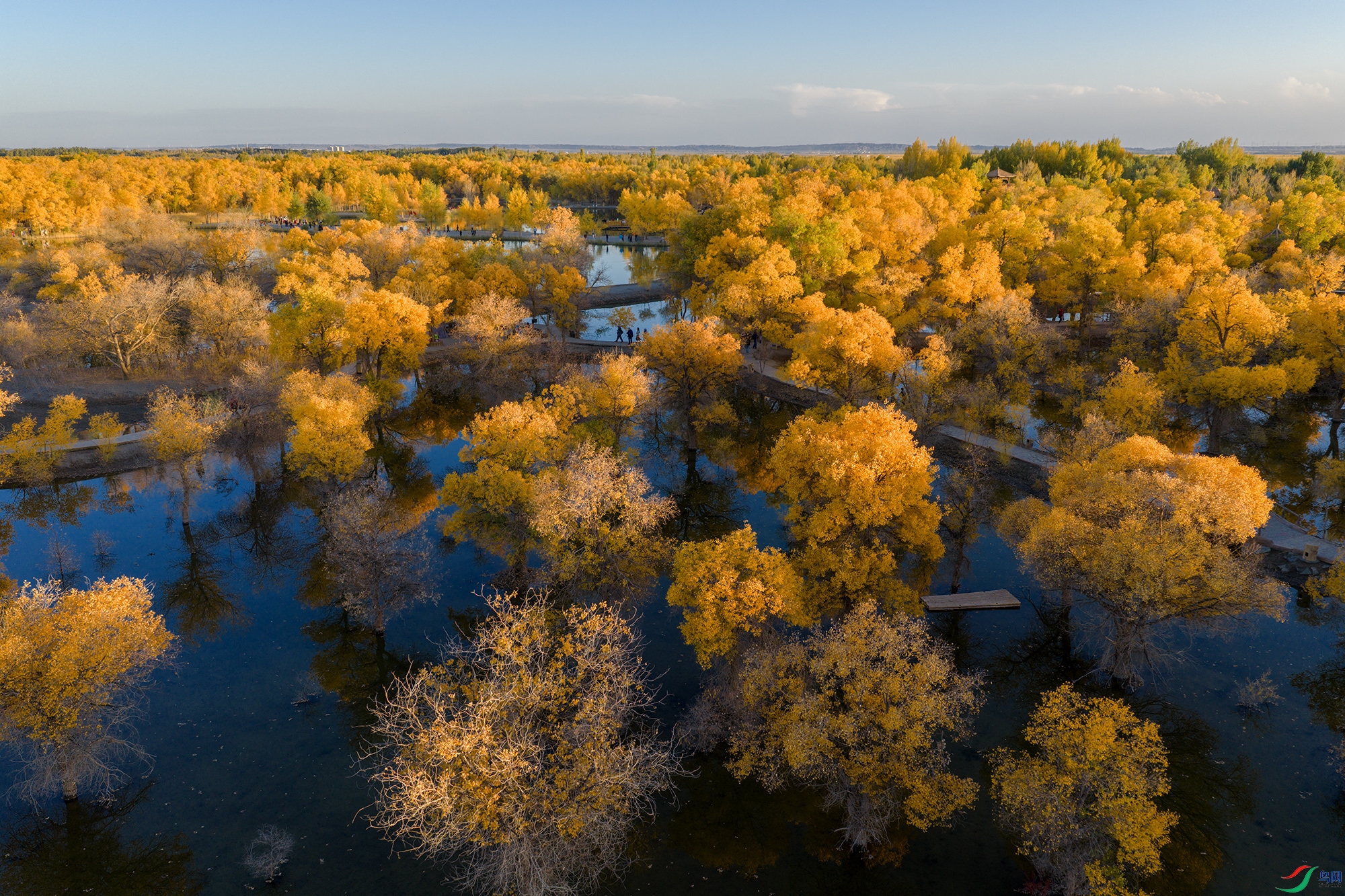 DJI_20261012182211_0252_D ����a.jpg