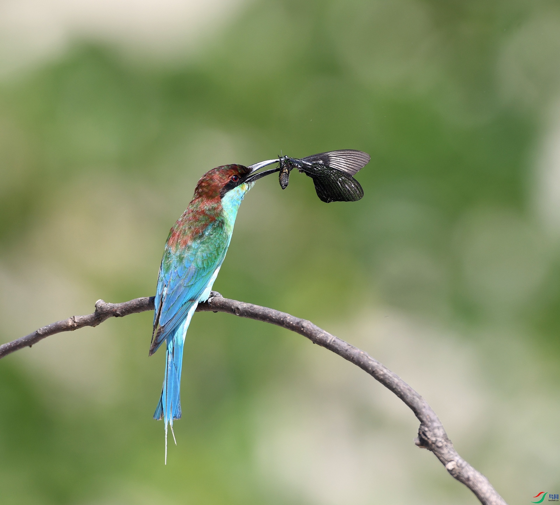 DSC_5386.jpg