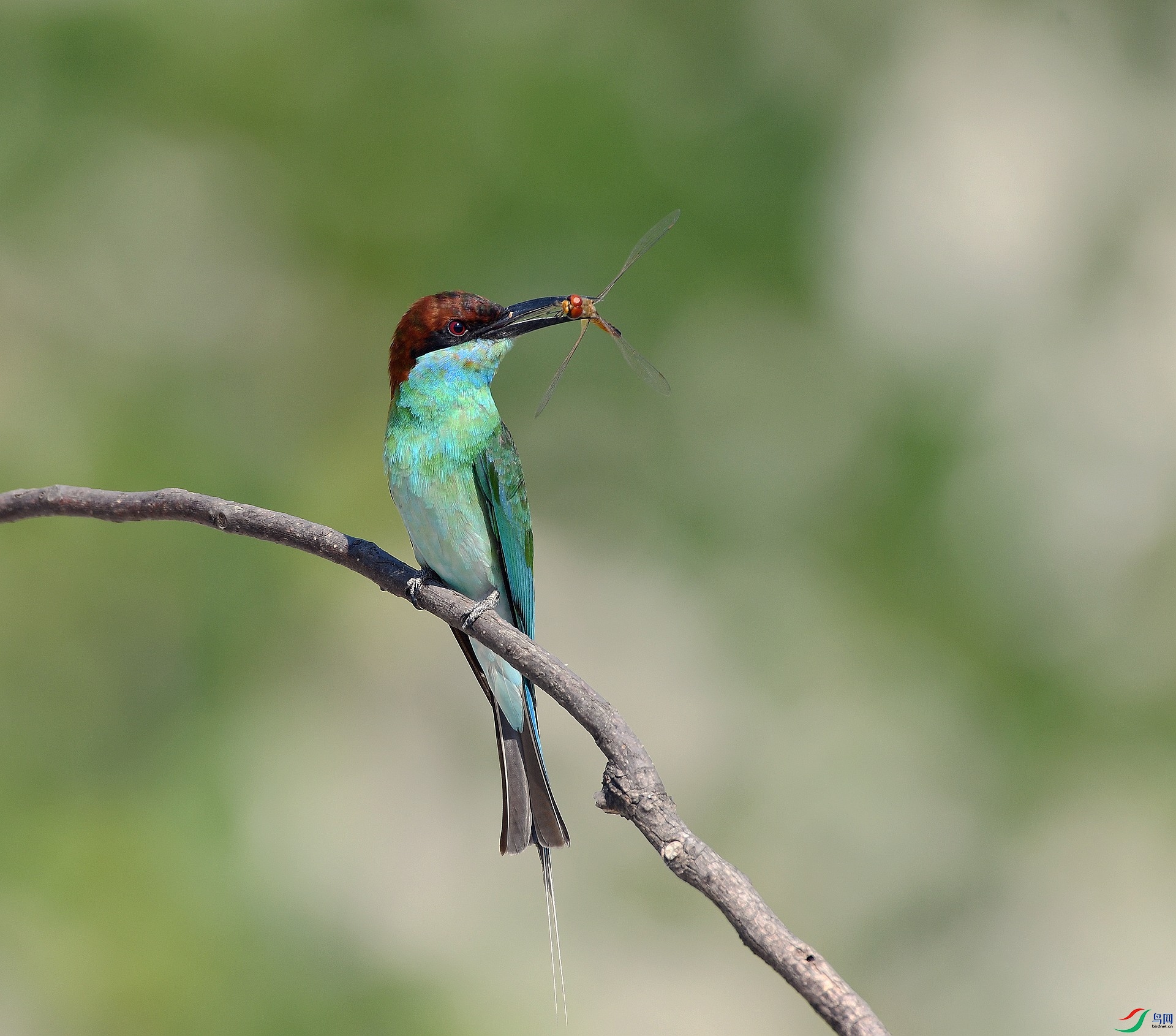 DSC_5043.jpg