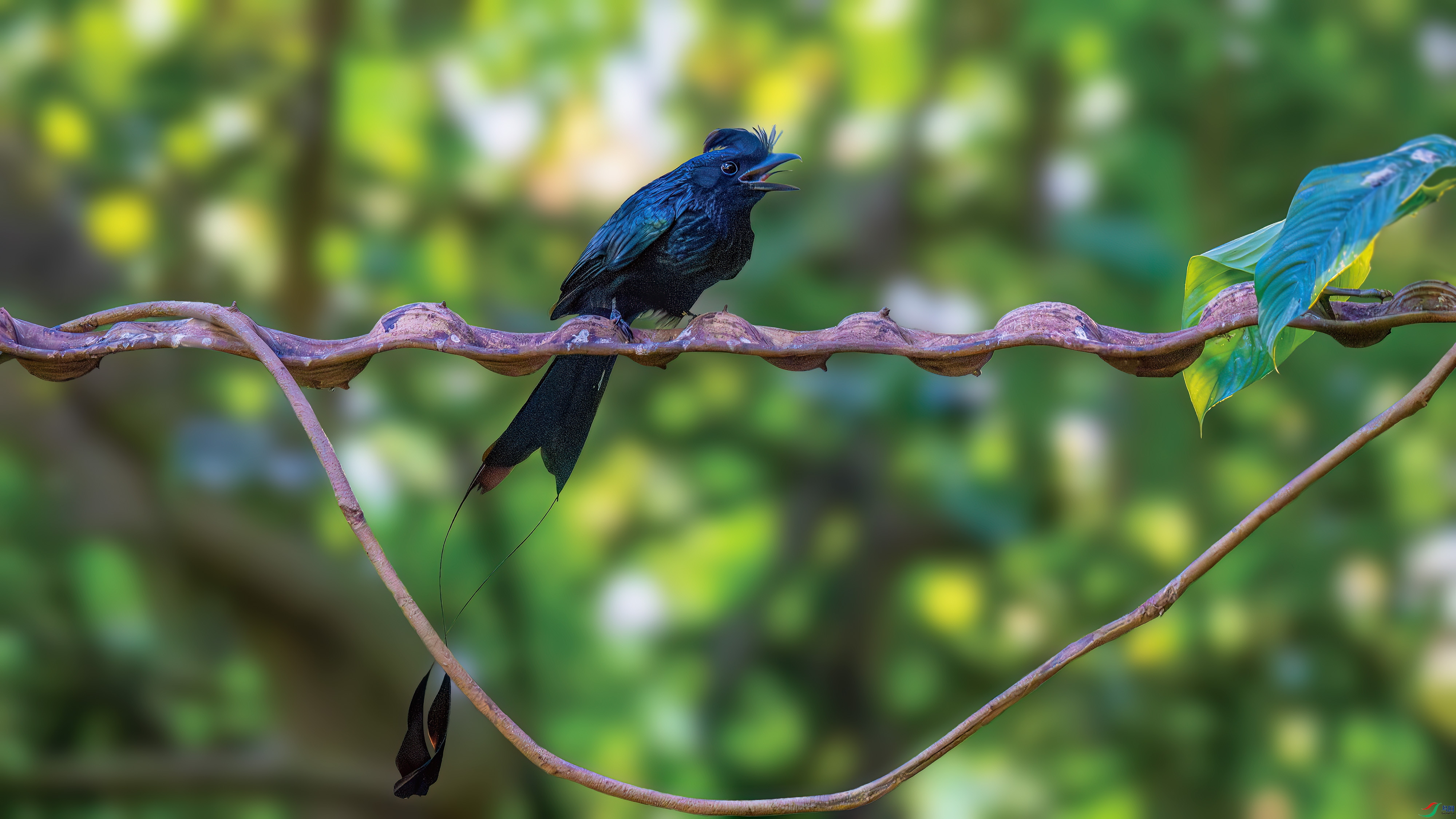 DSC_3384.jpg