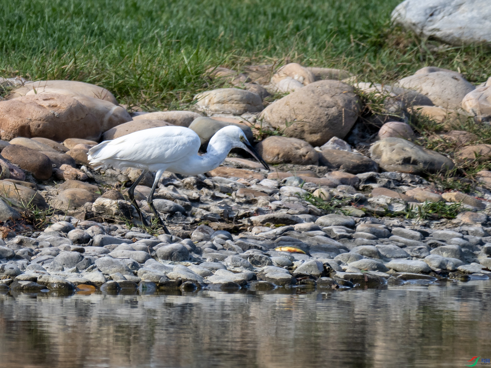 PA021440.jpg