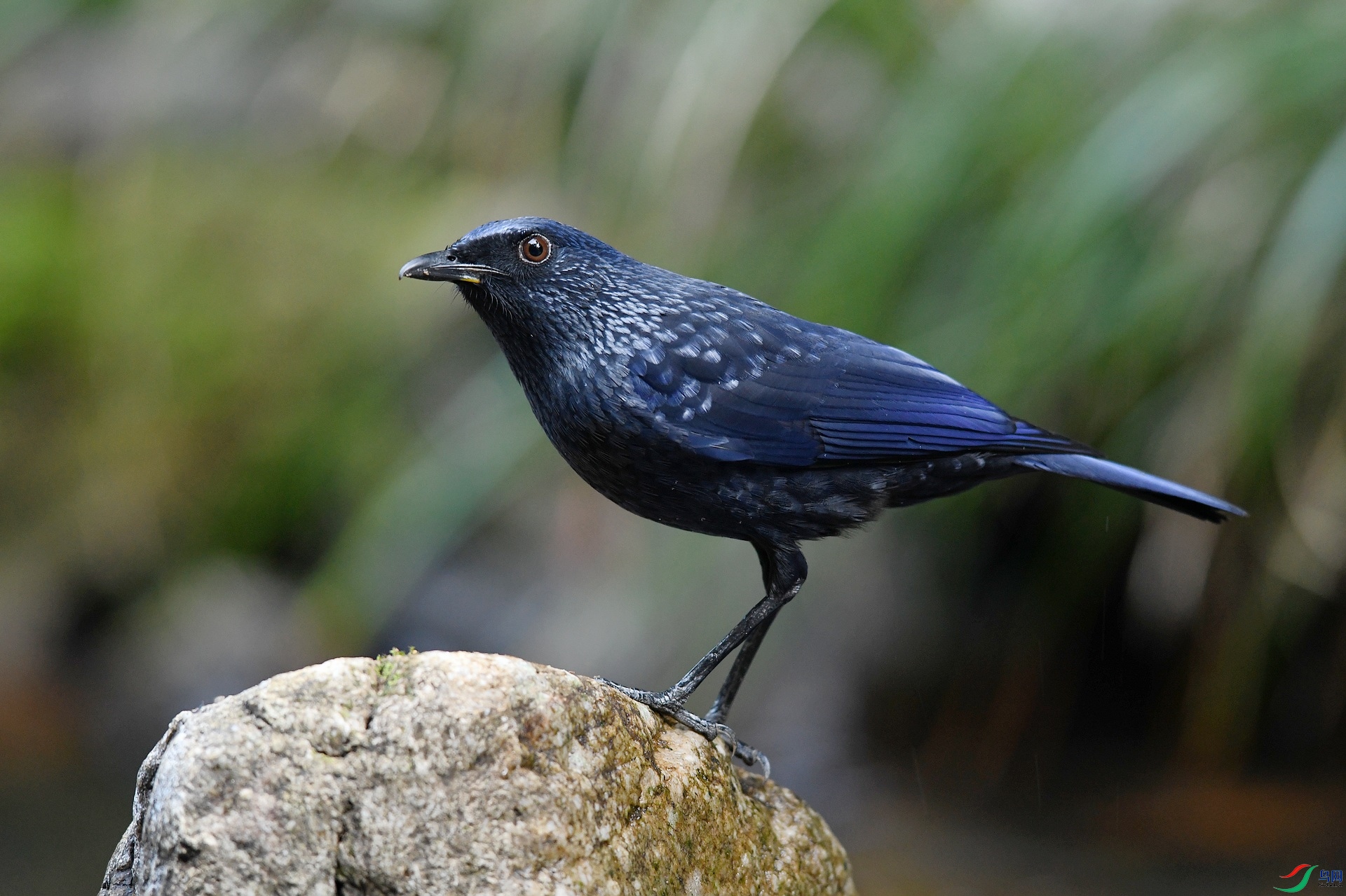 DSC_4276.jpg