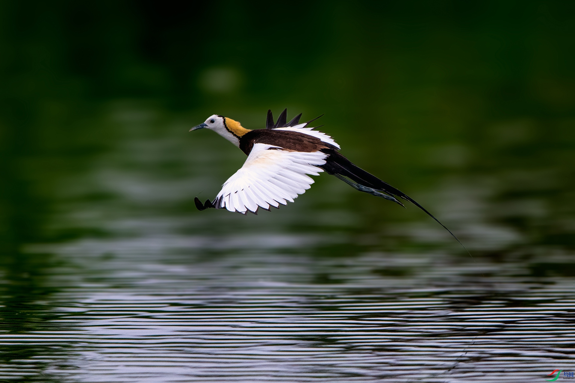 ��_AUU1982��ˮ��(23.7.4)-1.jpg