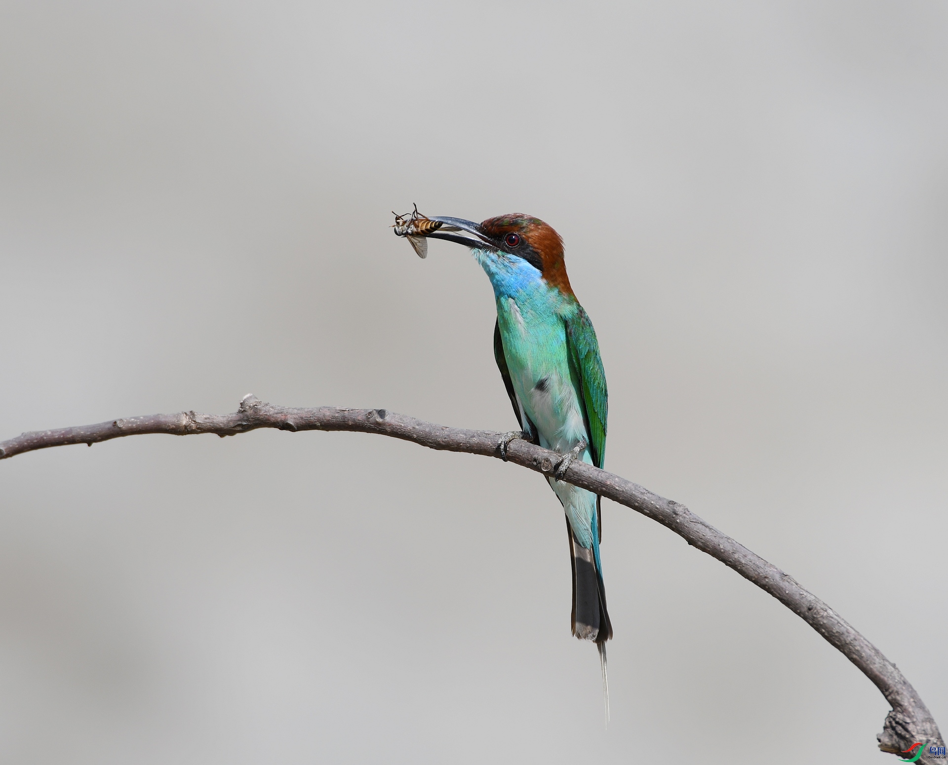 DSC_8555.jpg