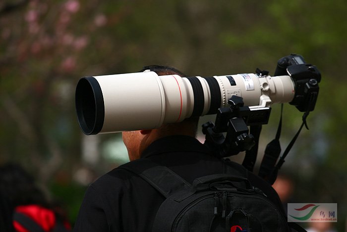 Re:[����]������Ƭ�Ա�.......��ҳ尡�����ˮŶ