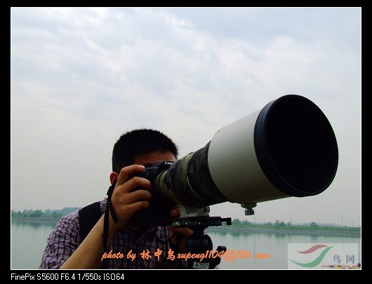 Re:[����]������Ƭ�Ա�.......��ҳ尡�����ˮŶ