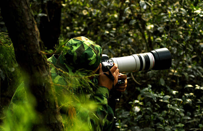 Re:[����]������Ƭ�Ա�.......��ҳ尡�����ˮŶ