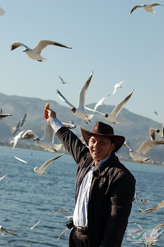 Re:[����]������Ƭ�Ա�.......��ҳ尡�����ˮŶ