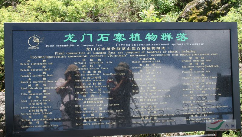 Re:[����]������Ƭ�Ա�.......��ҳ尡�����ˮŶ