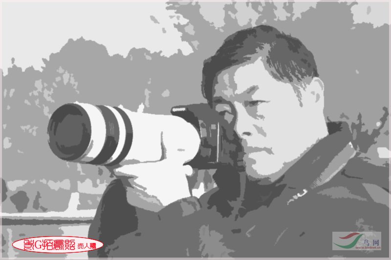 Re:[����]������Ƭ�Ա�.......��ҳ尡�����ˮŶ