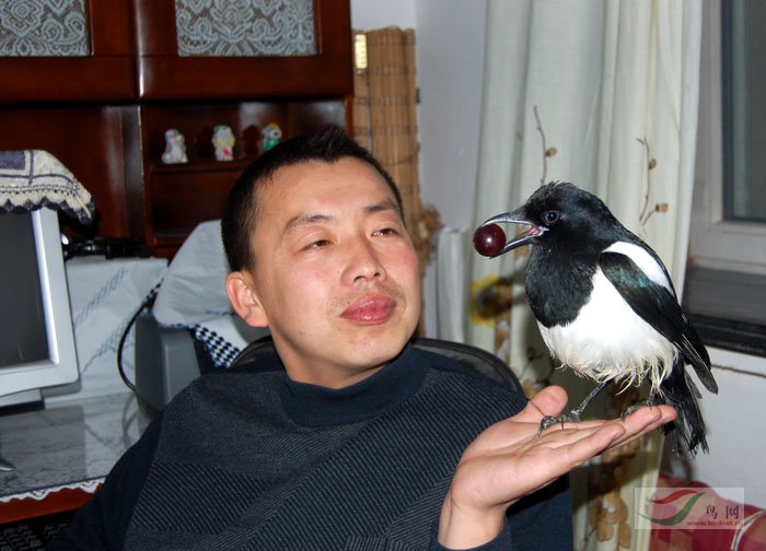 Re:[����]������Ƭ�Ա�.......��ҳ尡�����ˮŶ