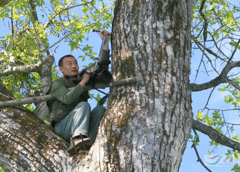 Re:[����]������Ƭ�Ա�.......��ҳ尡�����ˮŶ