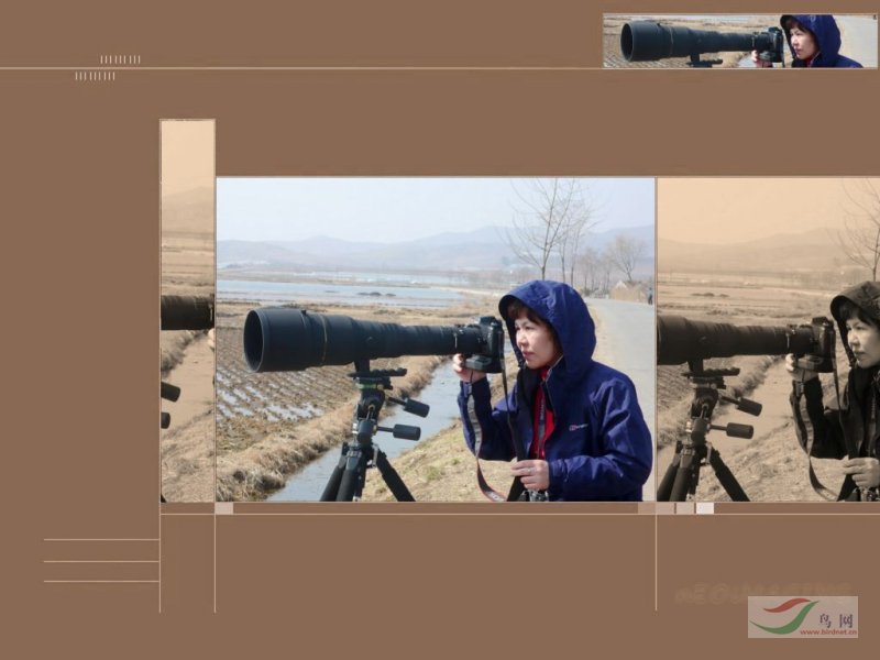 Re:[����]������Ƭ�Ա�.......��ҳ尡�����ˮŶ