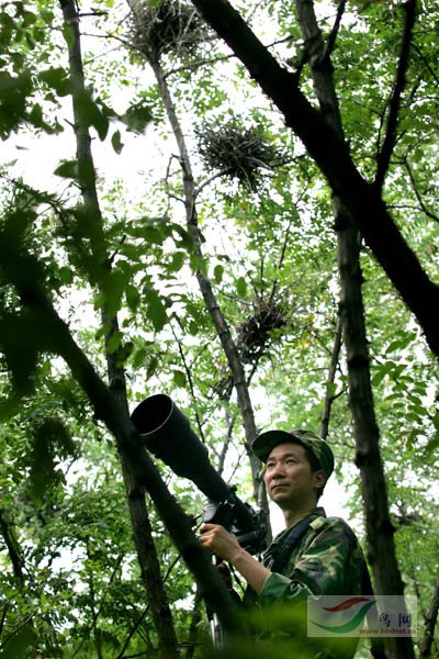 Re:[����]������Ƭ�Ա�.......��ҳ尡�����ˮŶ