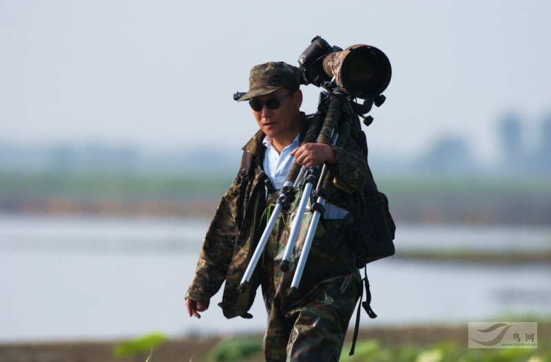 Re:[����]������Ƭ�Ա�.......��ҳ尡�����ˮŶ