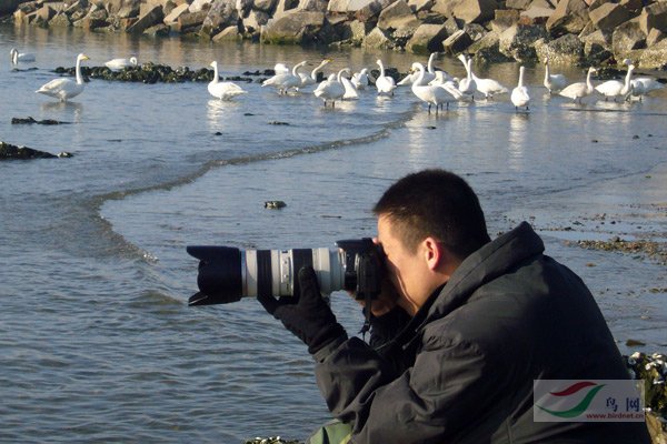 Re:[����]������Ƭ�Ա�.......��ҳ尡�����ˮŶ