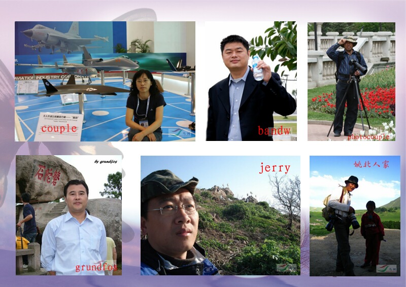 Re:[����]������Ƭ�Ա�.......��ҳ尡�����ˮŶ