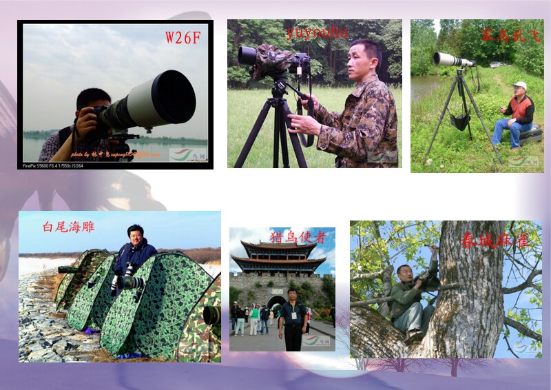 Re:[����]������Ƭ�Ա�.......��ҳ尡�����ˮŶ