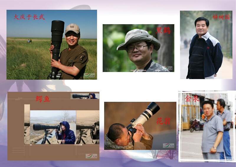 Re:[����]������Ƭ�Ա�.......��ҳ尡�����ˮŶ