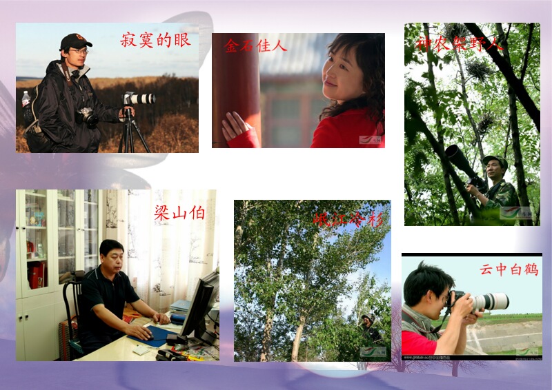 Re:[����]������Ƭ�Ա�.......��ҳ尡�����ˮŶ