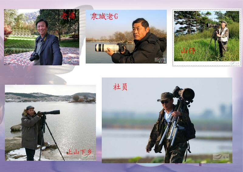 Re:[����]������Ƭ�Ա�.......��ҳ尡�����ˮŶ