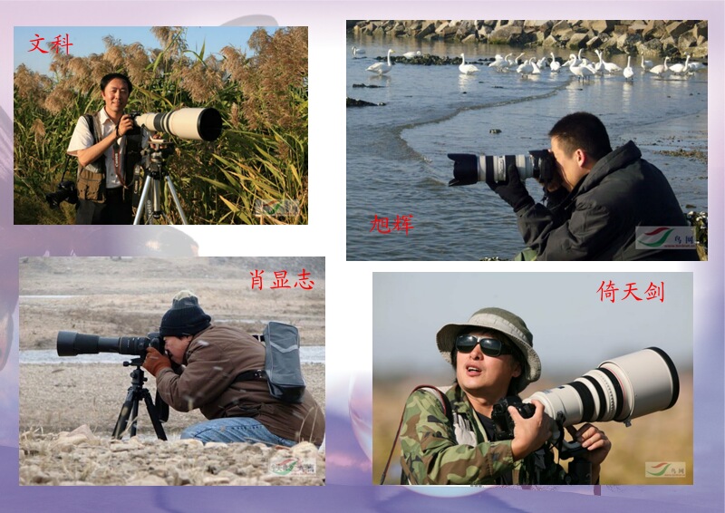 Re:[����]������Ƭ�Ա�.......��ҳ尡�����ˮŶ