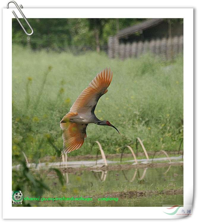 �Ҽ���ߵ����q