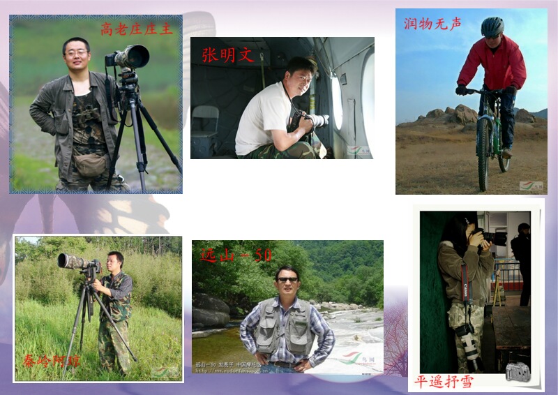 Re:[����]������Ƭ�Ա�.......��ҳ尡�����ˮŶ