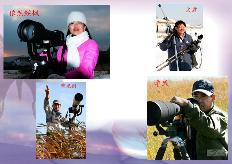 Re:[����]������Ƭ�Ա�.......��ҳ尡�����ˮŶ