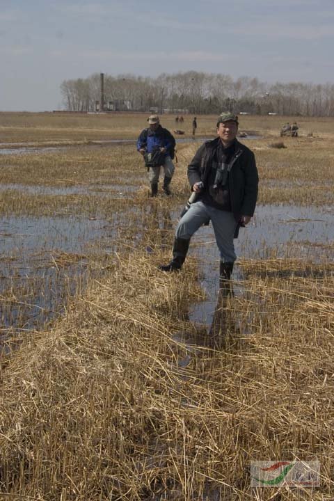 Re:[����]������Ƭ�Ա�.......��ҳ尡�����ˮŶ