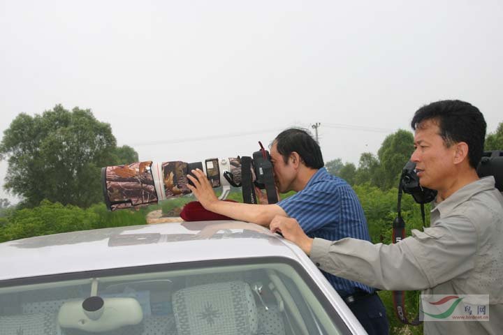 Re:[����]������Ƭ�Ա�.......��ҳ尡�����ˮŶ