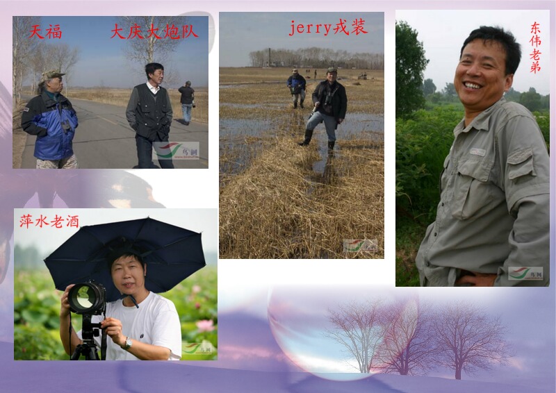 Re:[����]������Ƭ�Ա�.......��ҳ尡�����ˮŶ