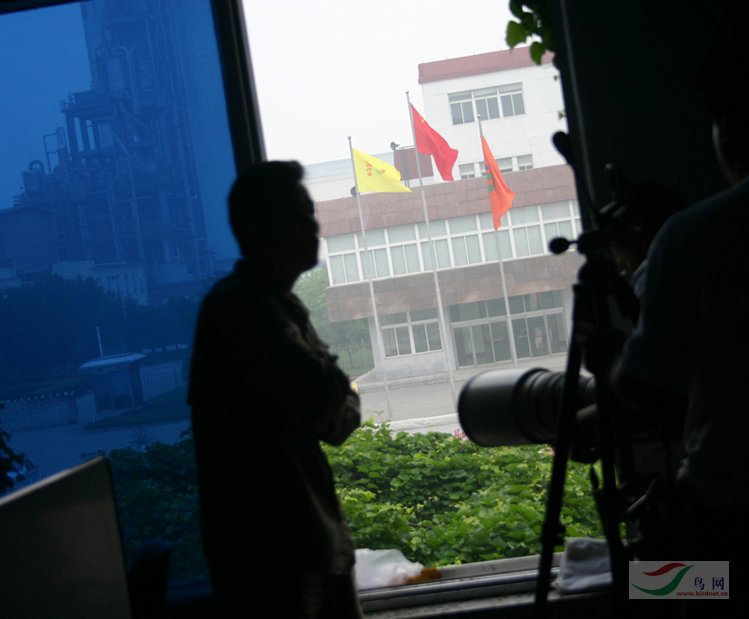 Re:[����]������Ƭ�Ա�.......��ҳ尡�����ˮŶ